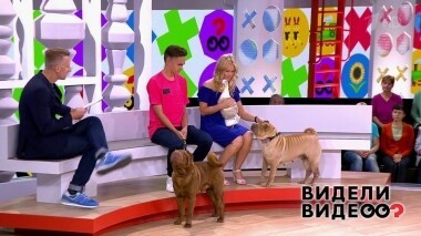 Видели видео? Часть 2. Выпуск от 08.09.2019