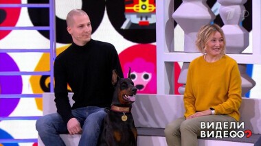 Видели видео? Часть 2. Выпуск от 08.11.2020