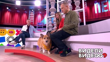 Видели видео? Часть 2. Выпуск от 11.07.2021