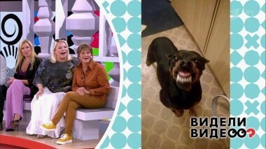 Видели видео? Часть 2. Выпуск от 11.08.2019