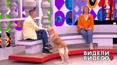 Видели видео? Часть 2. Выпуск от 12.12.2021