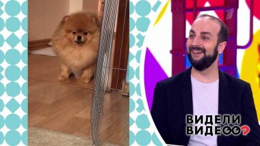 Видели видео? Часть 2. Выпуск от 13.09.2020