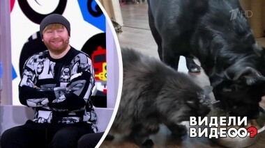 Видели видео? Часть 2. Выпуск от 13.10.2019