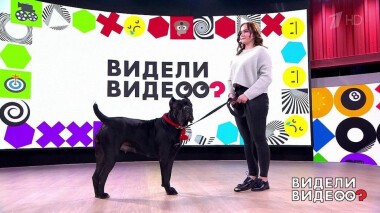 Видели видео? Часть 2. Выпуск от 14.02.2021