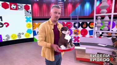 Видели видео? Часть 2. Выпуск от 14.06.2021