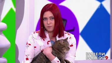 Видели видео? Часть 2. Выпуск от 15.11.2020