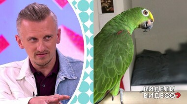 Видели видео? Часть 2. Выпуск от 18.07.2021