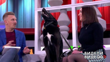 Видели видео? Часть 2. Выпуск от 19.04.2020