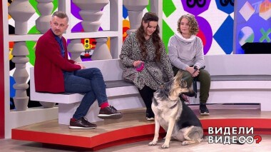 Видели видео? Часть 2. Выпуск от 21.03.2021