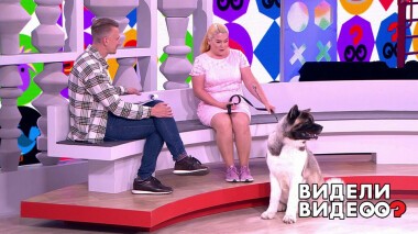 Видели видео? Часть 2. Выпуск от 22.08.2021