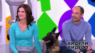 Видели видео? Часть 2. Выпуск от 22.11.2020