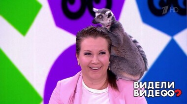 Видели видео? Часть 2. Выпуск от 23.05.2021