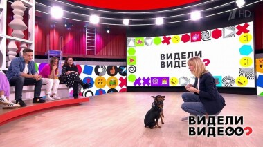 Видели видео? Часть 2. Выпуск от 24.01.2021