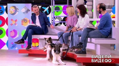 Видели видео? Часть 2. Выпуск от 24.07.2022