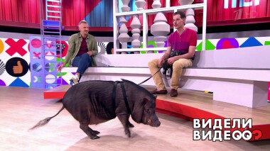 Видели видео? Часть 2. Выпуск от 24.10.2021