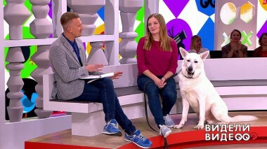 Видели видео? Часть 2. Выпуск от 26.01.2020