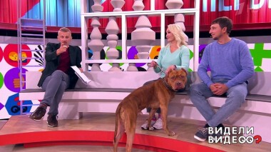 Видели видео? Часть 2. Выпуск от 31.10.2021