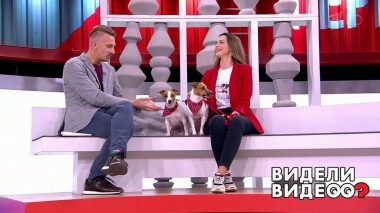 Видели видео? Избранное. Выпуск от 08.01.2020