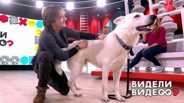 Видели видео? Избранное. Выпуск от 26.01.2020