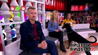 Видели видео? Избранное. Выпуск от 26.12.2020