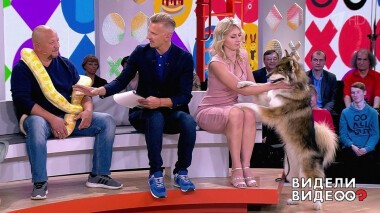 Видели видео? Лучшее. Выпуск от 05.01.2021