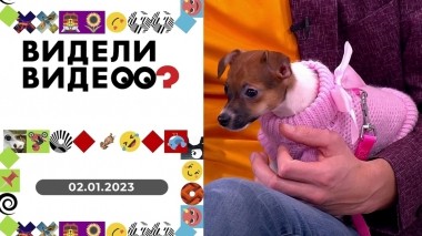 Видели видео? Новогодний выпуск от 02.01.2023