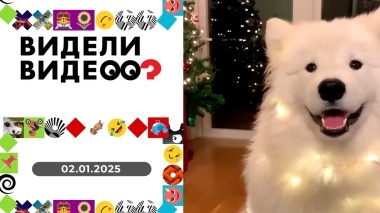 Видели видео? Новогодний выпуск от 02.01.2025