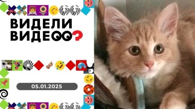 Видели видео? Новогодний выпуск от 05.01.2025