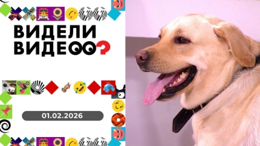 Видели видео? Выпуск от 01.02.2026