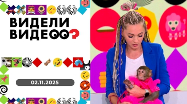 Видели видео? Выпуск от 02.11.2025