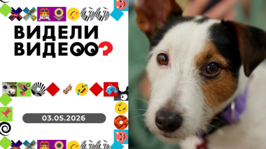 Видели видео? Выпуск от 03.05.2026