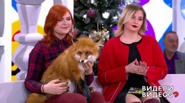 Видели видео? Выпуск от 05.01.2019