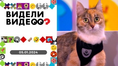 Видели видео? Выпуск от 05.01.2024