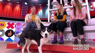 Видели видео? Выпуск от 05.02.2022