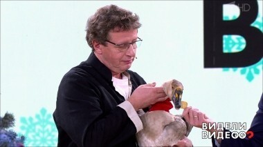 Видели видео? Выпуск от 06.01.2019