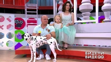 Видели видео? Выпуск от 08.08.2018