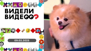 Видели видео? Выпуск от 09.02.2025