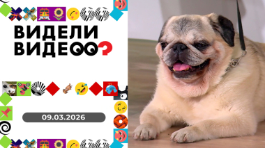 Видели видео? Выпуск от 09.03.2026