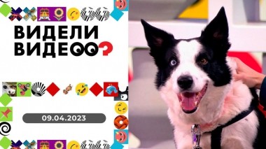 Видели видео? Выпуск от 09.04.2023