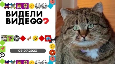 Видели видео? Выпуск от 09.07.2023