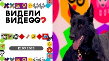 Видели видео? Выпуск от 12.03.2023