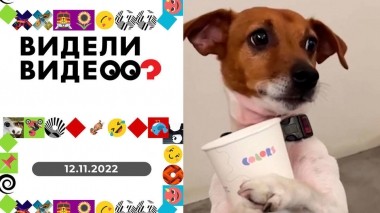 Видели видео? Выпуск от 12.11.2022