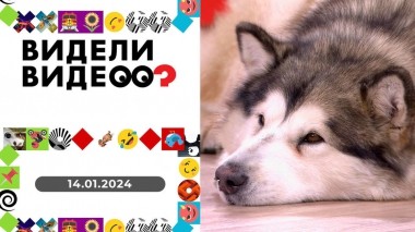 Видели видео? Выпуск от 14.01.2024