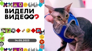 Видели видео? Выпуск от 14.05.2023