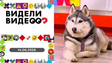 Видели видео? Выпуск от 14.06.2026