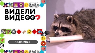 Видели видео? Выпуск от 16.03.2025