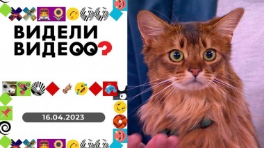 Видели видео? Выпуск от 16.04.2023