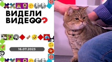Видели видео? Выпуск от 16.07.2023