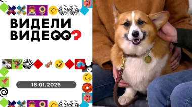 Видели видео? Выпуск от 18.01.2026