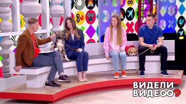 Видели видео? Выпуск от 19.02.2022